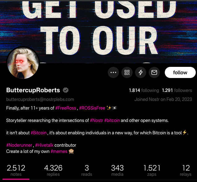 perfil da autora do post que escreo