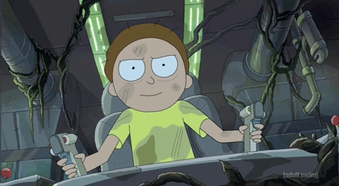 Morty dirigindo uma nava